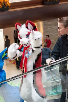 IMG_8520-lr19t.jpg of MFF/MFF2017/