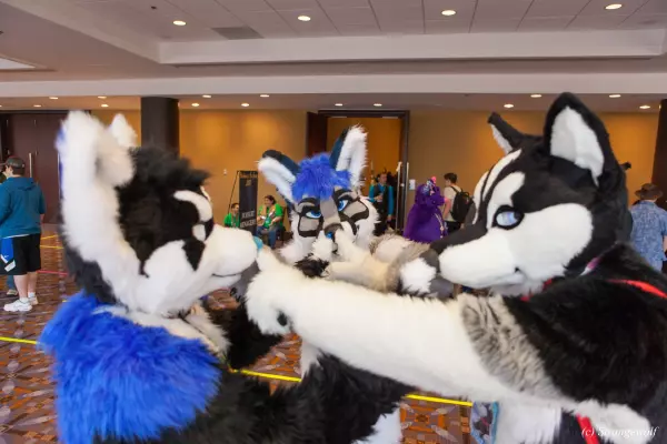IMG_8401-lr19t.jpg of MFF/MFF2017/