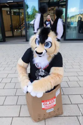 1R3A9288-lr19t.jpg of EF/EF29/