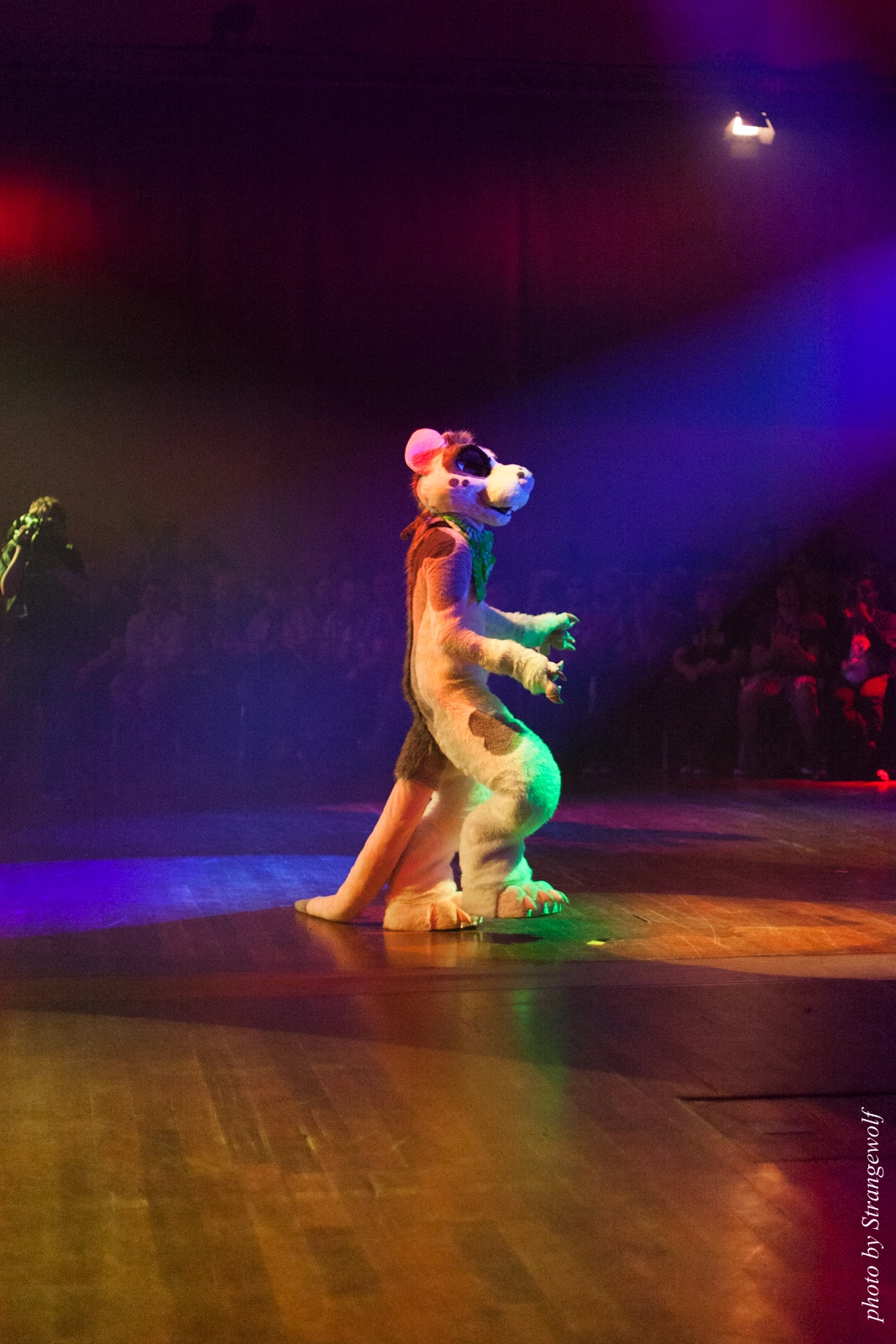 full image IMG_2417-lr16t.jpg