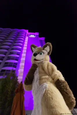 IMG_8702-lr16t.jpg of ESG/ESG2015/