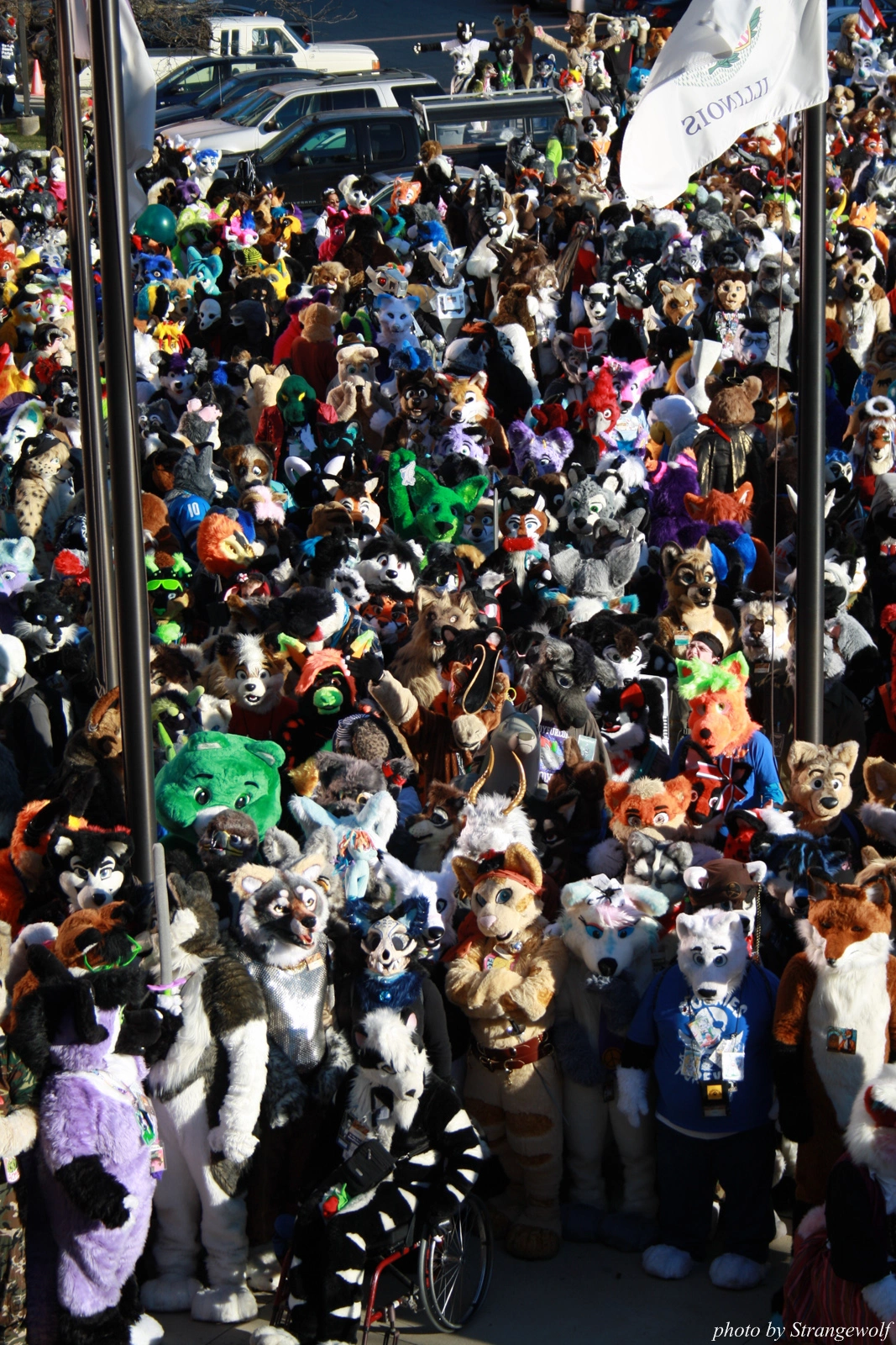 full image IMG_0648-lr.jpg