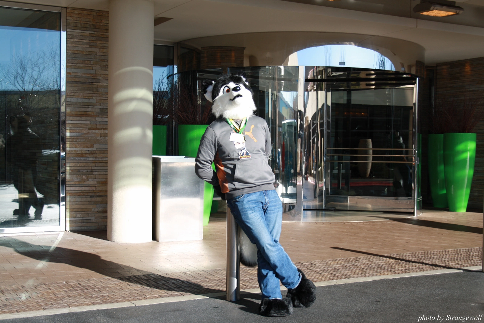 full image IMG_0908-lr.jpg