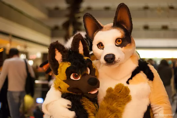 IMG_8078-lr19t.jpg of MFF/MFF2017/