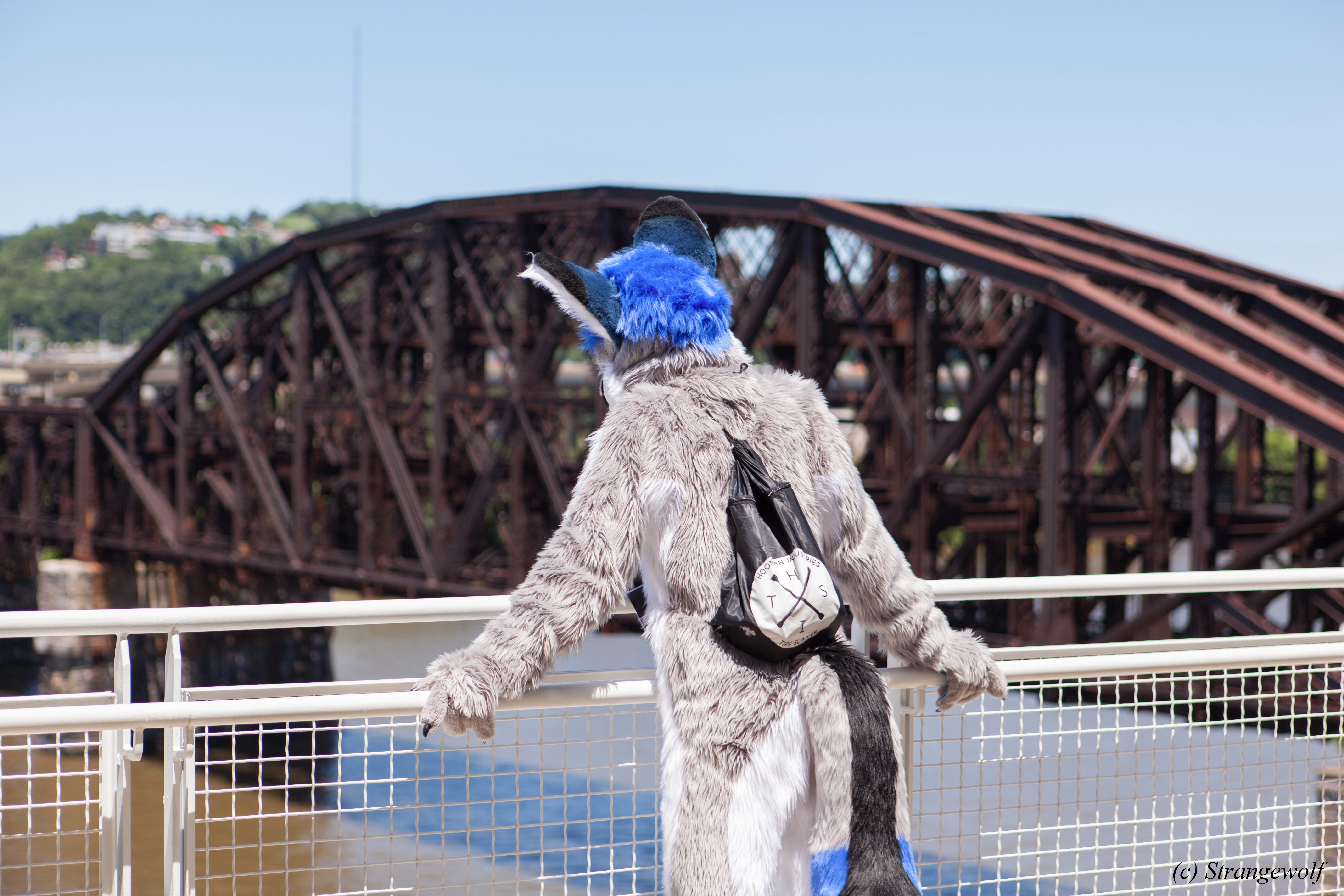 full image IMG_3800-lr.jpg