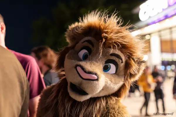 1R3A9532-lr19t.jpg of EF/EF29/