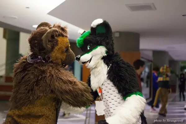 IMG_1167-lr16t.jpg of FC/FC2017/