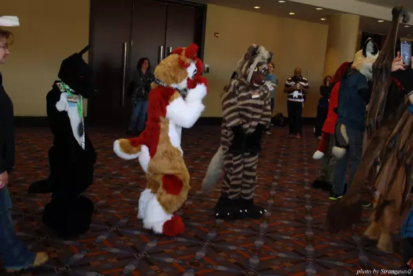 IMG_0564-lr.jpg of MFF/MFF2013/