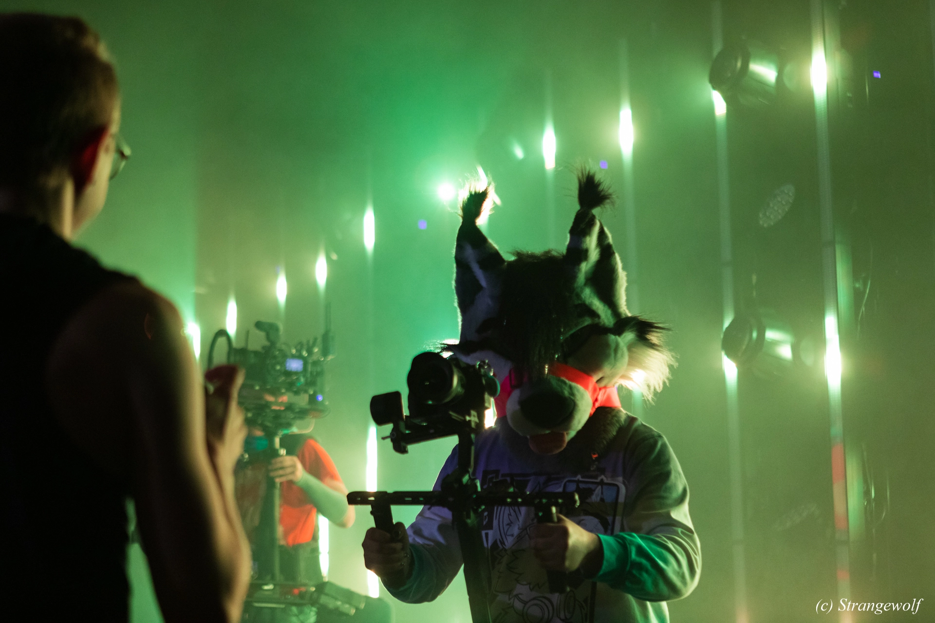 full image 1R3A6908-lr19t.jpg