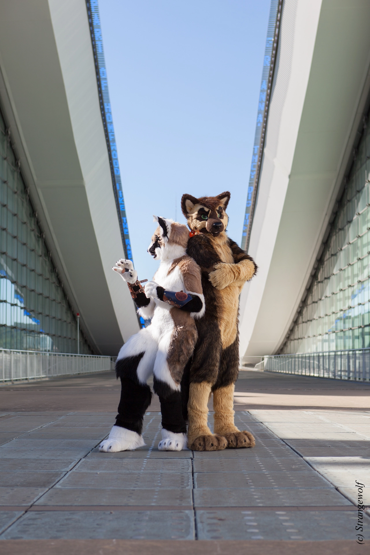 full image IMG_4180-lr19t.jpg