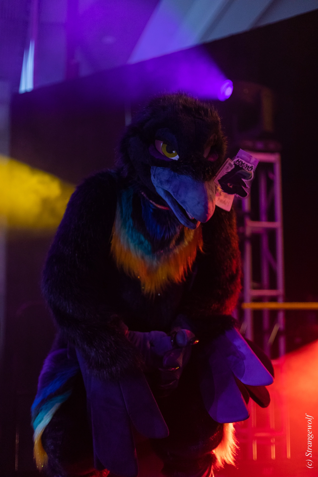 full image 1R3A0699-lr19t.jpg