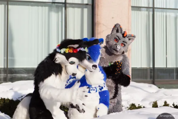 IMG_9995-lr19t.jpg of NFC/NFC2018/