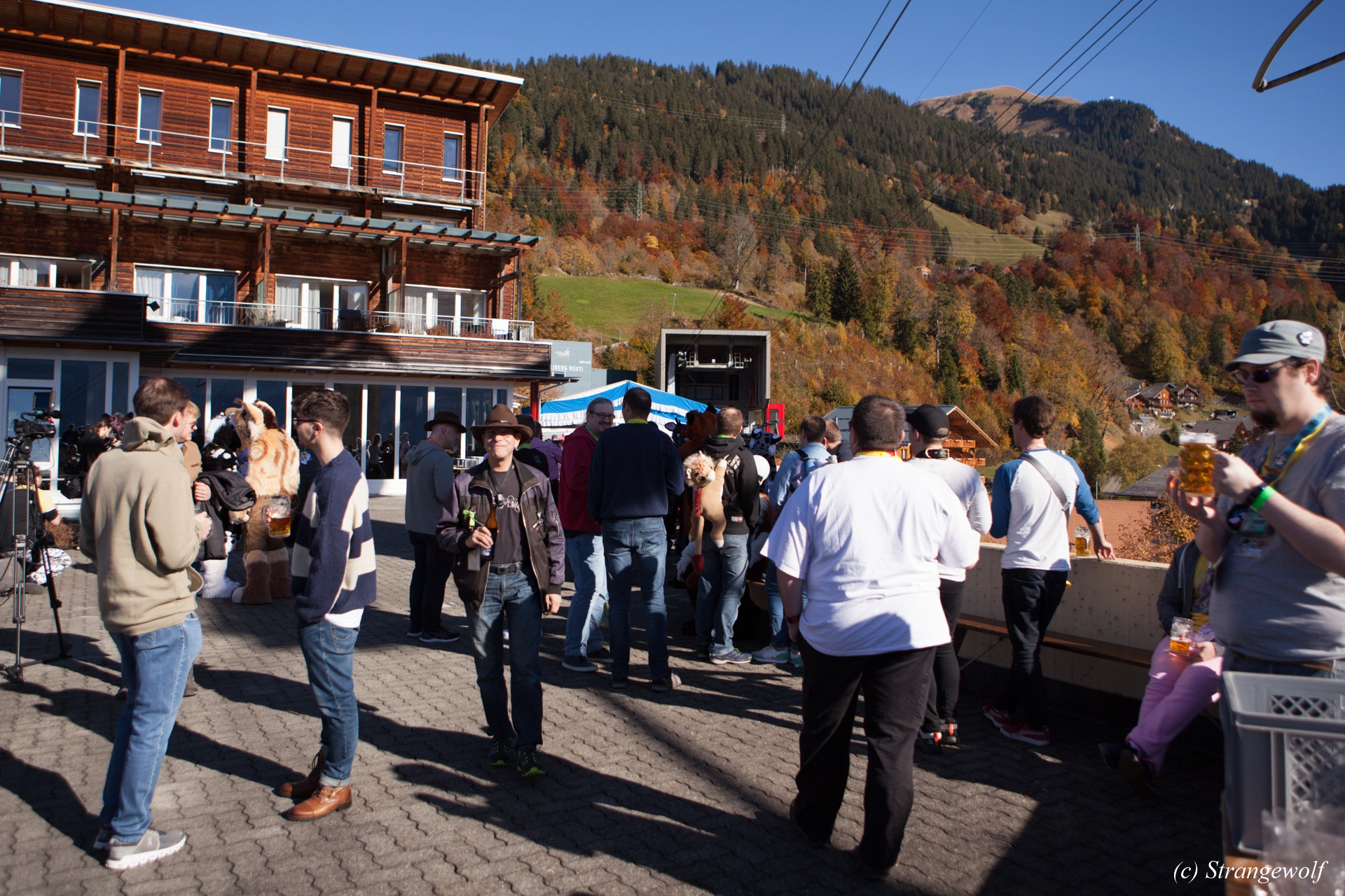 full image IMG_0556-lr19t.jpg