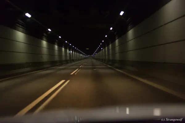 IMG_8484-lr19t.jpg of NFC/NFC2019/