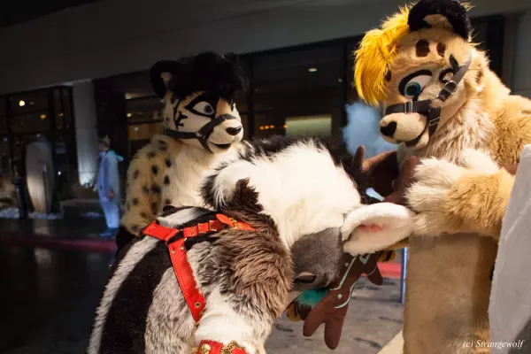 IMG_6916-lr19t.jpg of MFF/MFF2018/