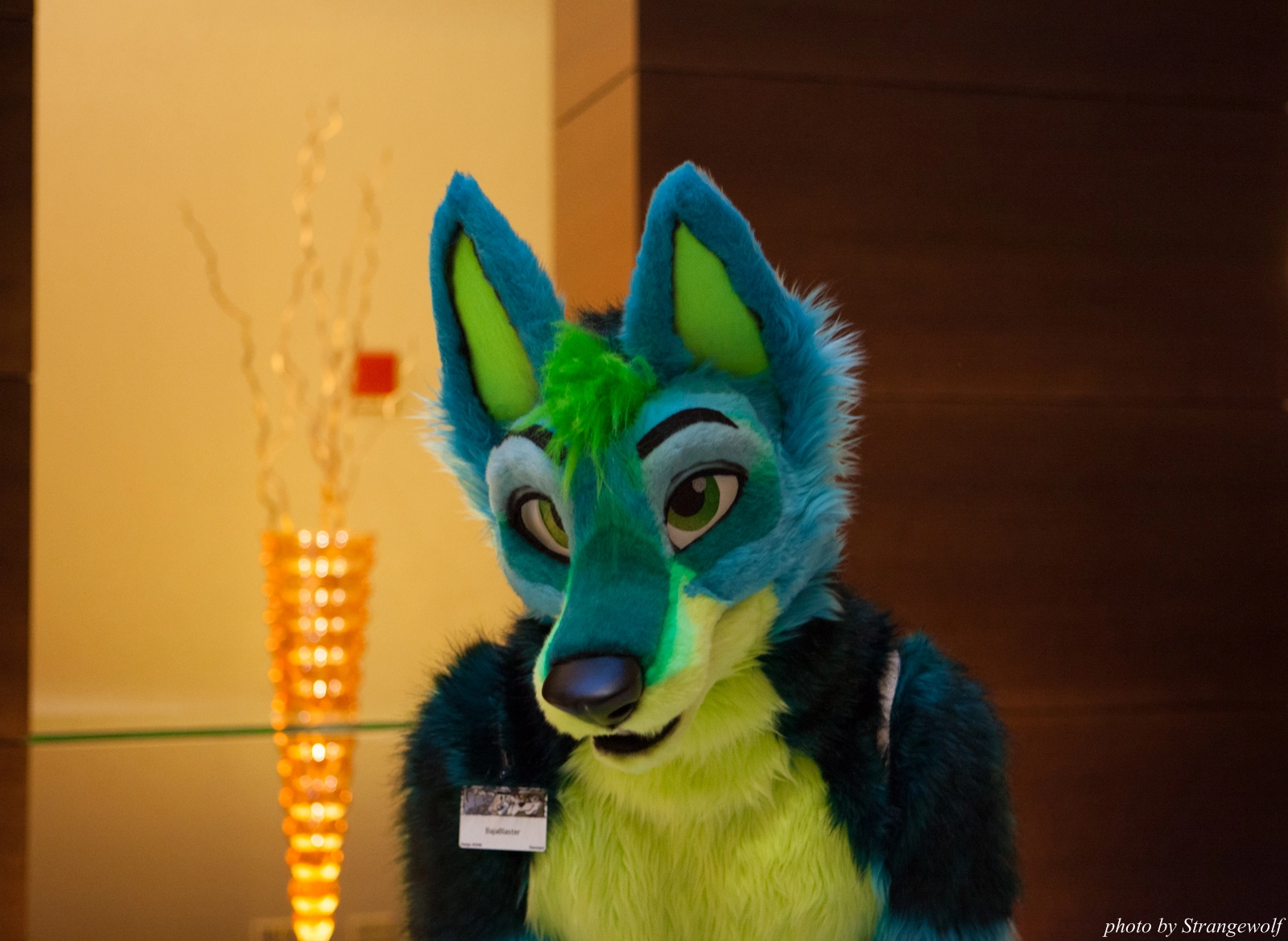 full image IMG_5894-lr16t.jpg