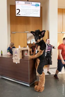 IMG_4972-lr19t.jpg of EF/EF24/