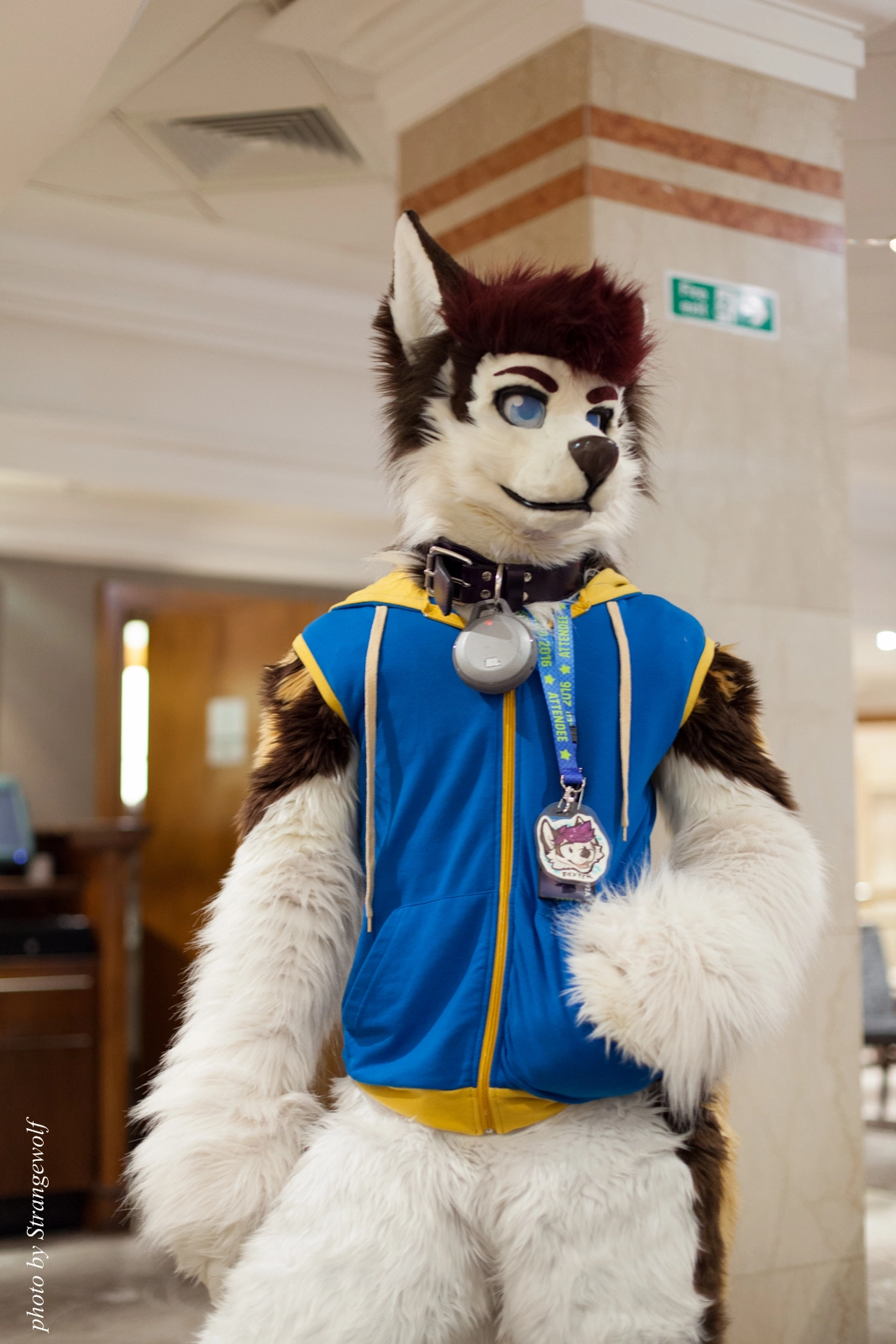 full image IMG_7679-lr16t.jpg