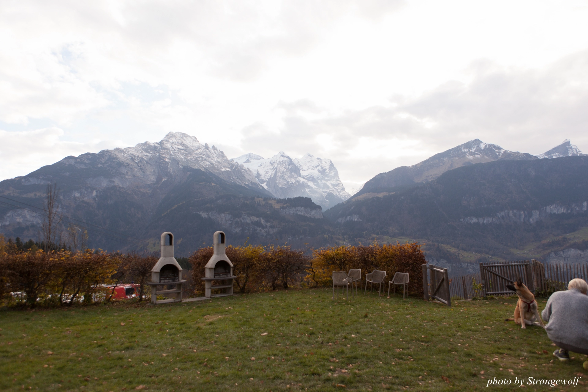 full image IMG_7969-lr19t.jpg