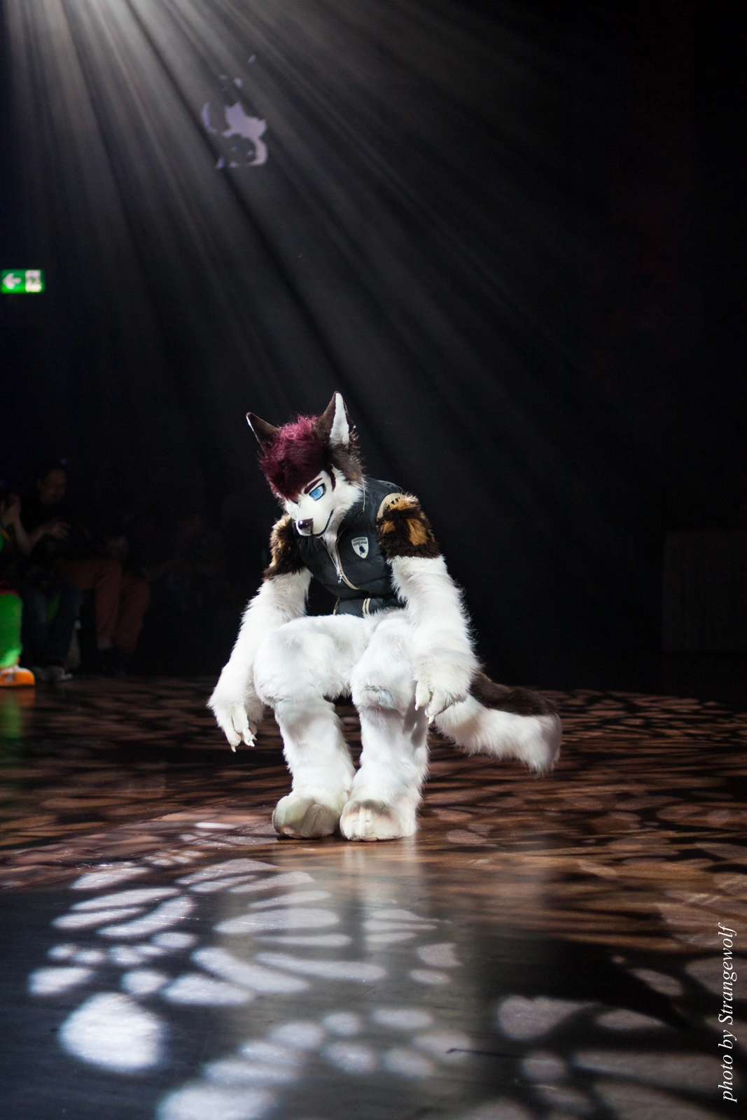 full image IMG_9377-lr16t.jpg