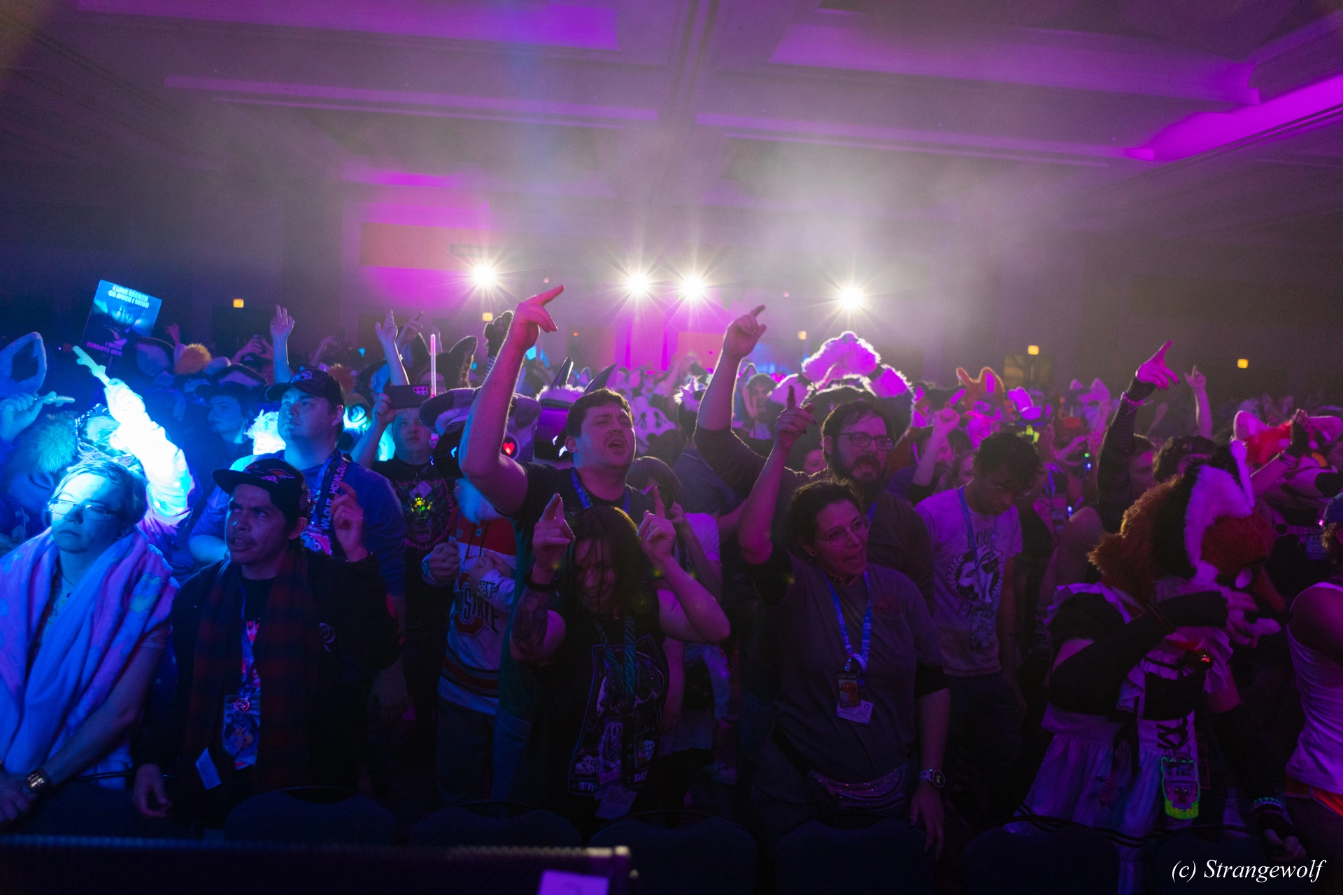 full image 1R3A5343-lr19t.jpg