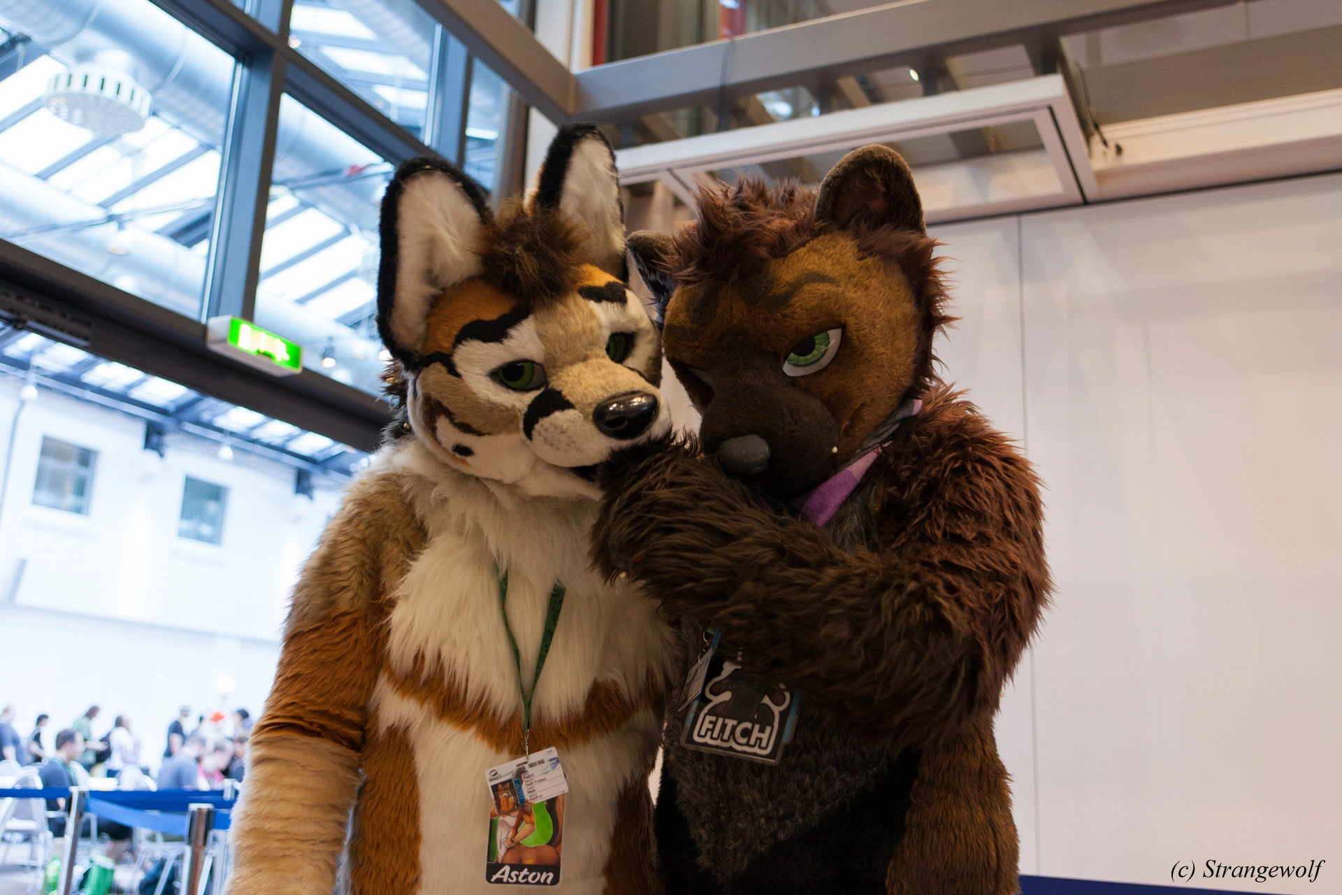 full image IMG_4991-lr19t.jpg