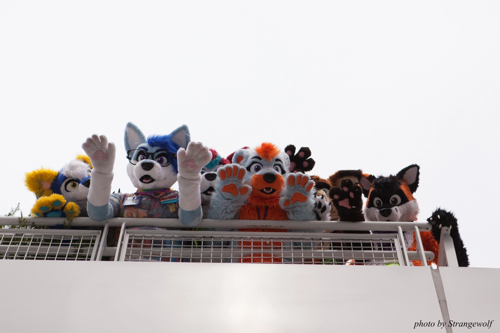 full image IMG_8209-lr16t.jpg