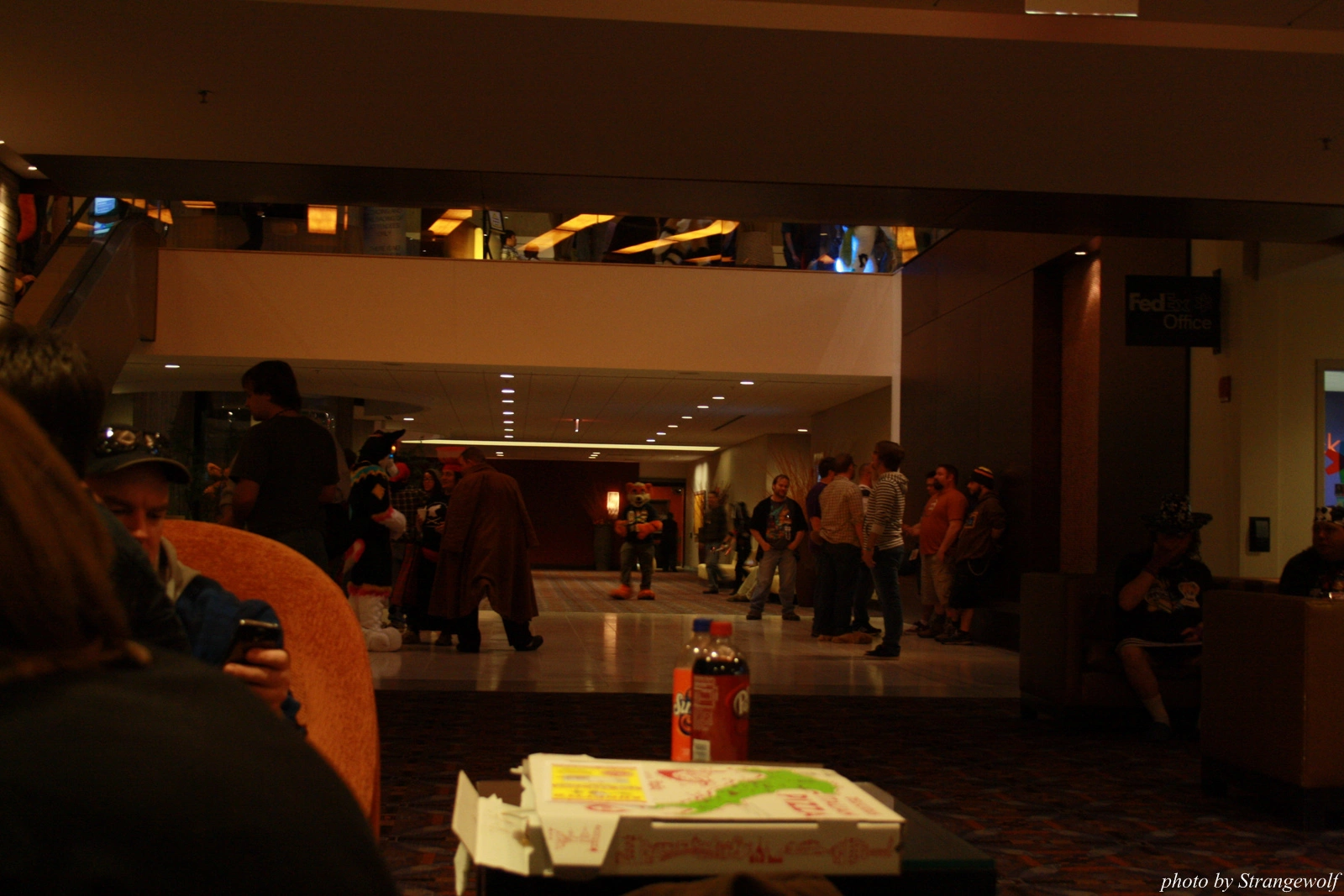 full image IMG_0432-lr.jpg