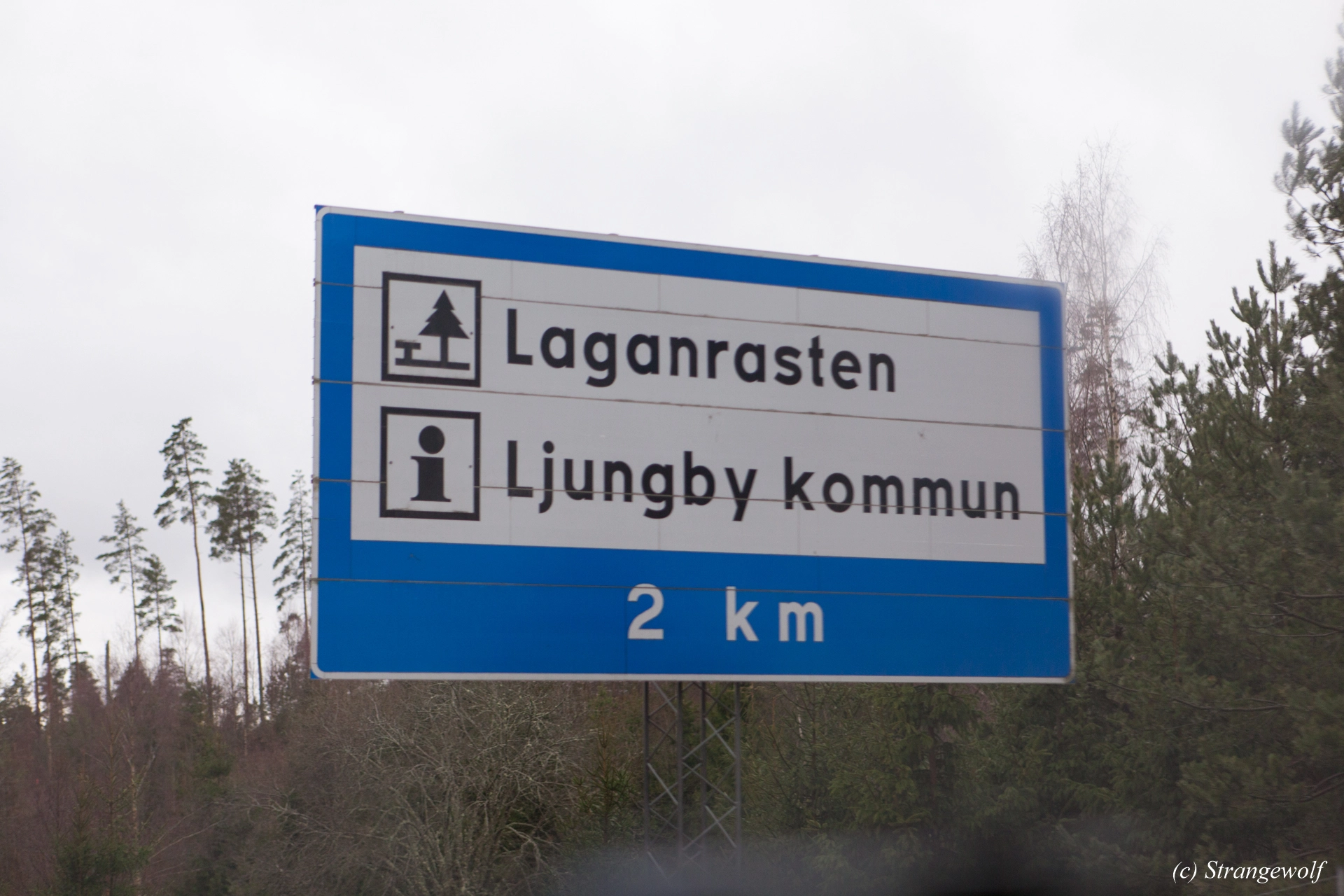 full image IMG_0001-lr19t.jpg