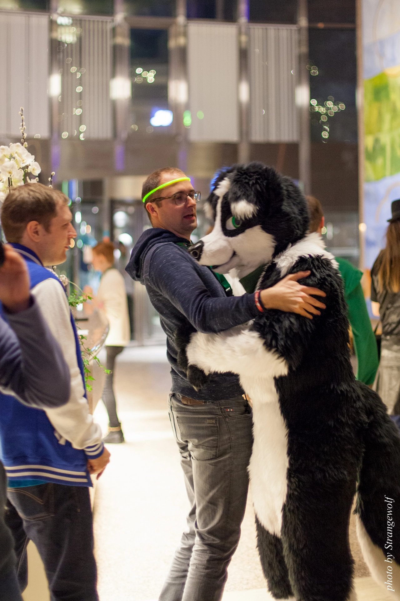 full image IMG_9341-lr19t.jpg