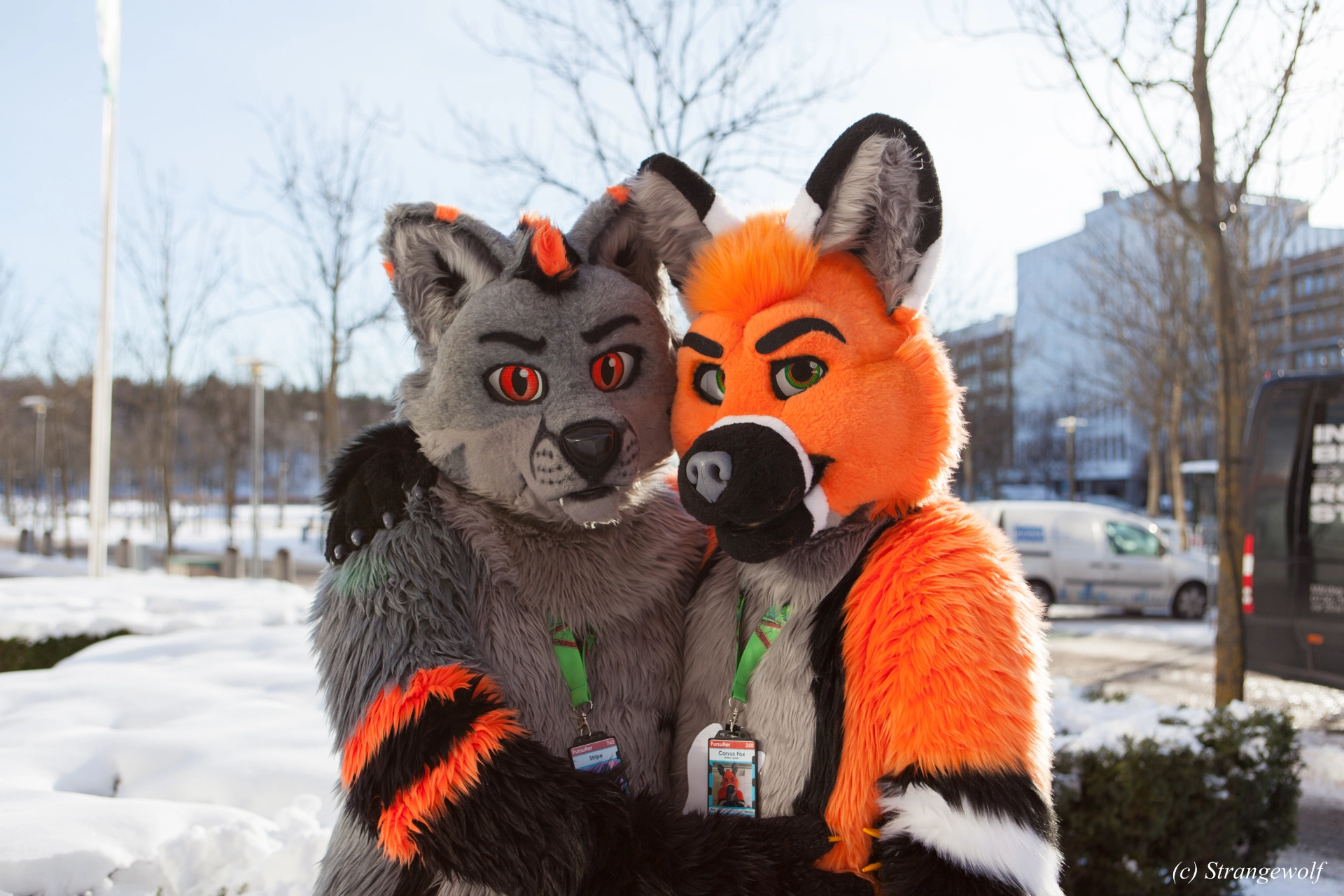 full image IMG_0127-lr19t.jpg