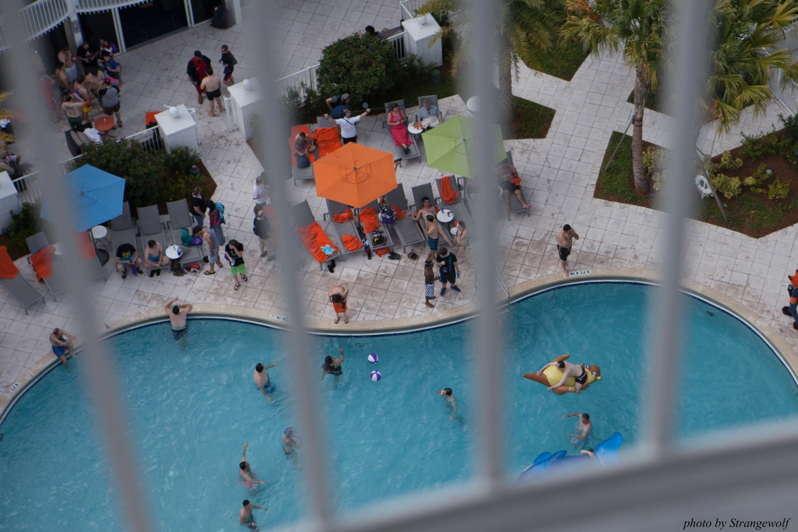 full image IMG_8308-lr16t.jpg