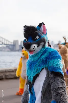 IMG_4324-lr19t.jpg of HCFC/HCFC2019/