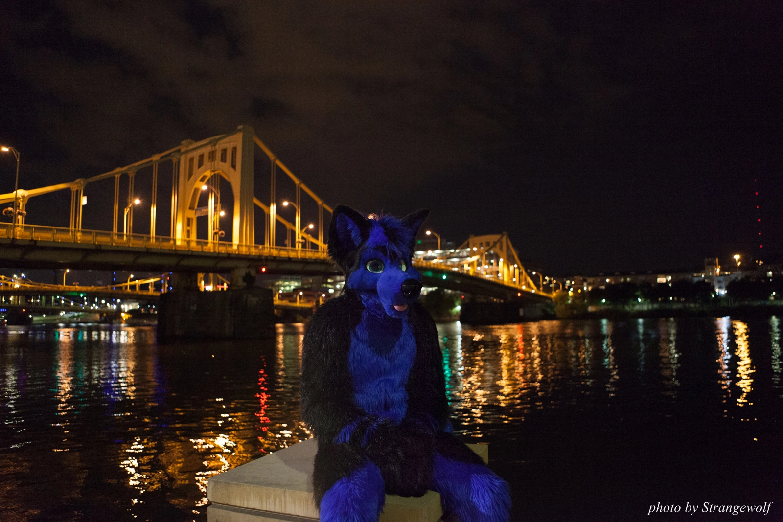 full image IMG_8518-lr16t.jpg