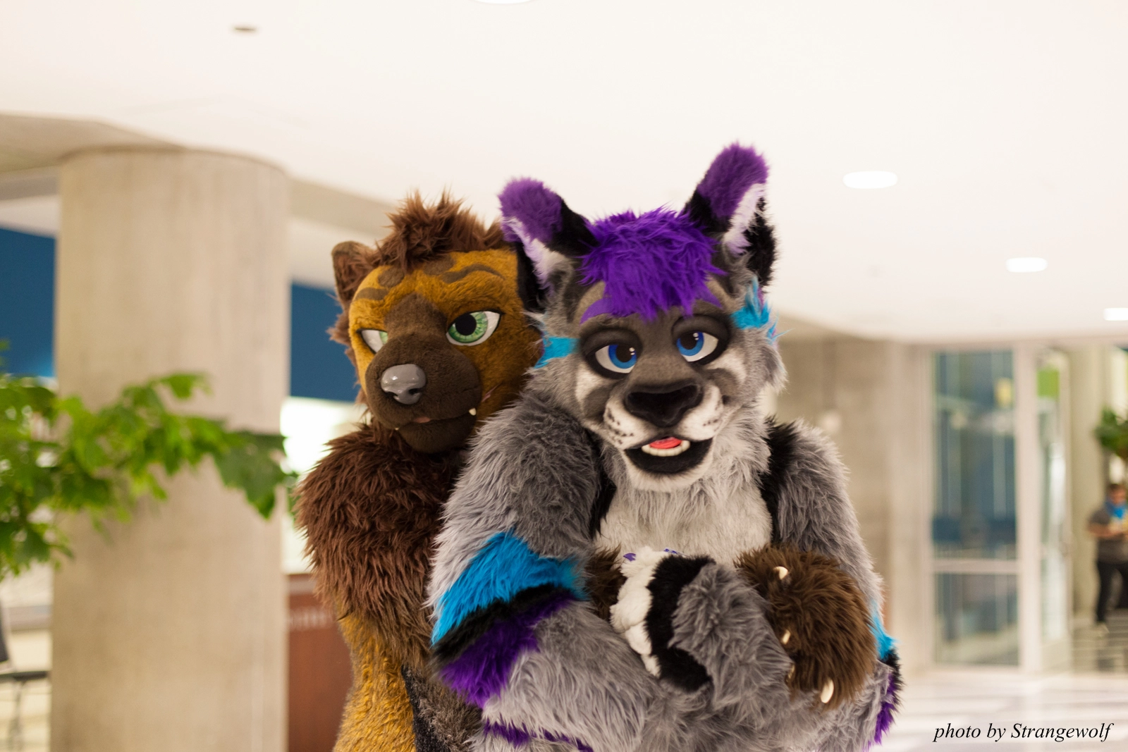 full image IMG_1121-lr16t.jpg