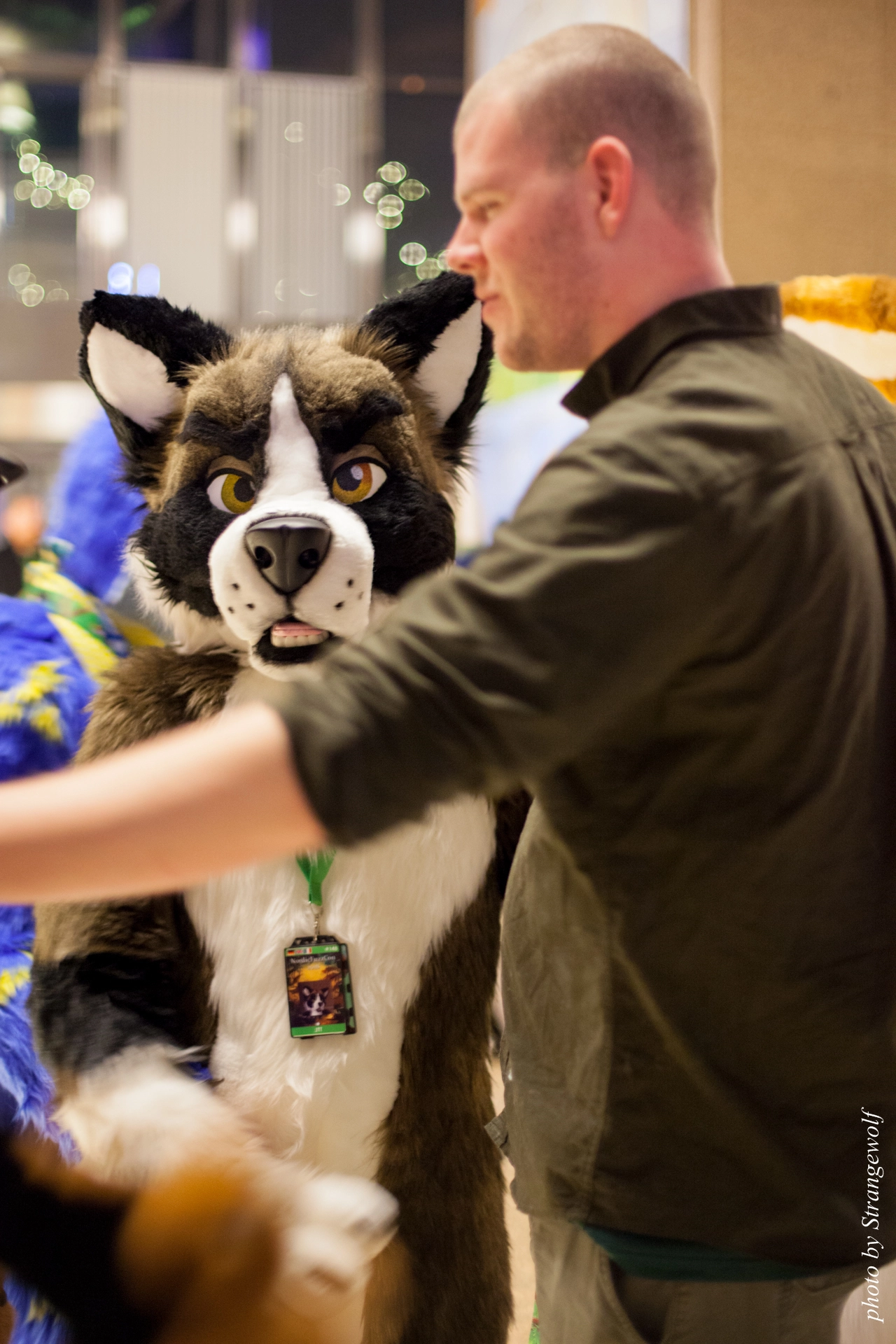 full image IMG_9351-lr19t.jpg