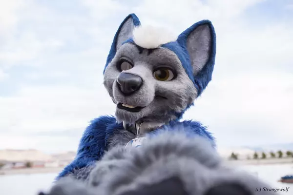 IMG_2676-lr19t.jpg of BLFC/2018/