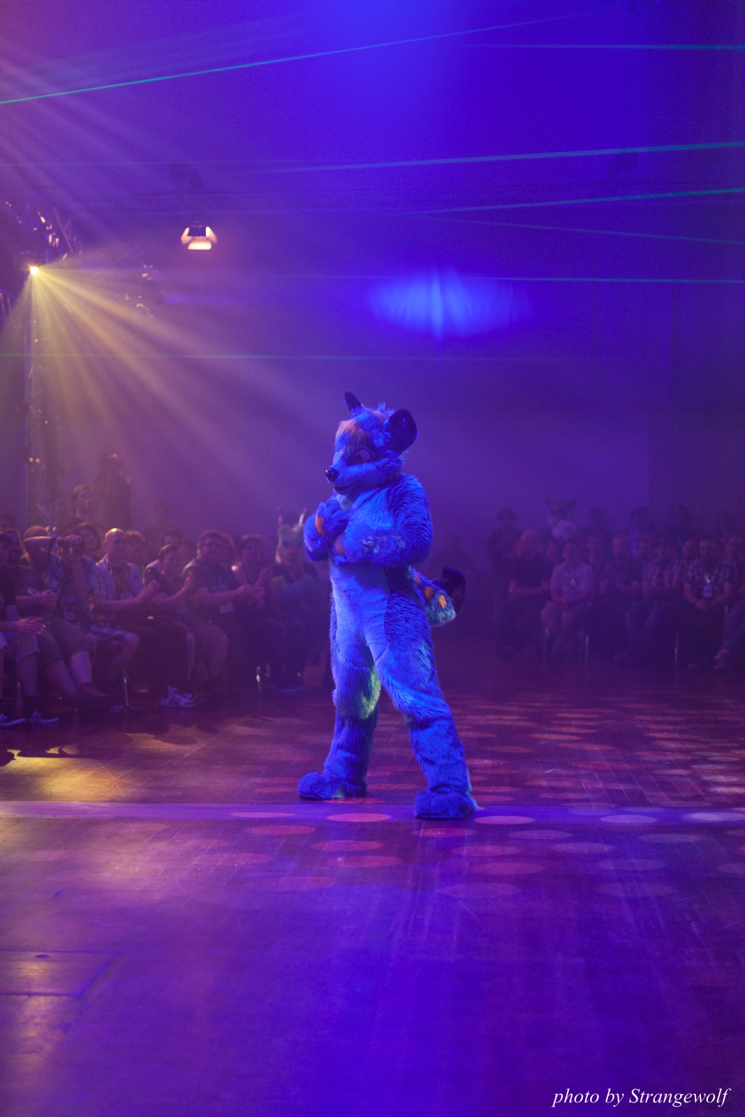 full image IMG_2818-lr16t.jpg