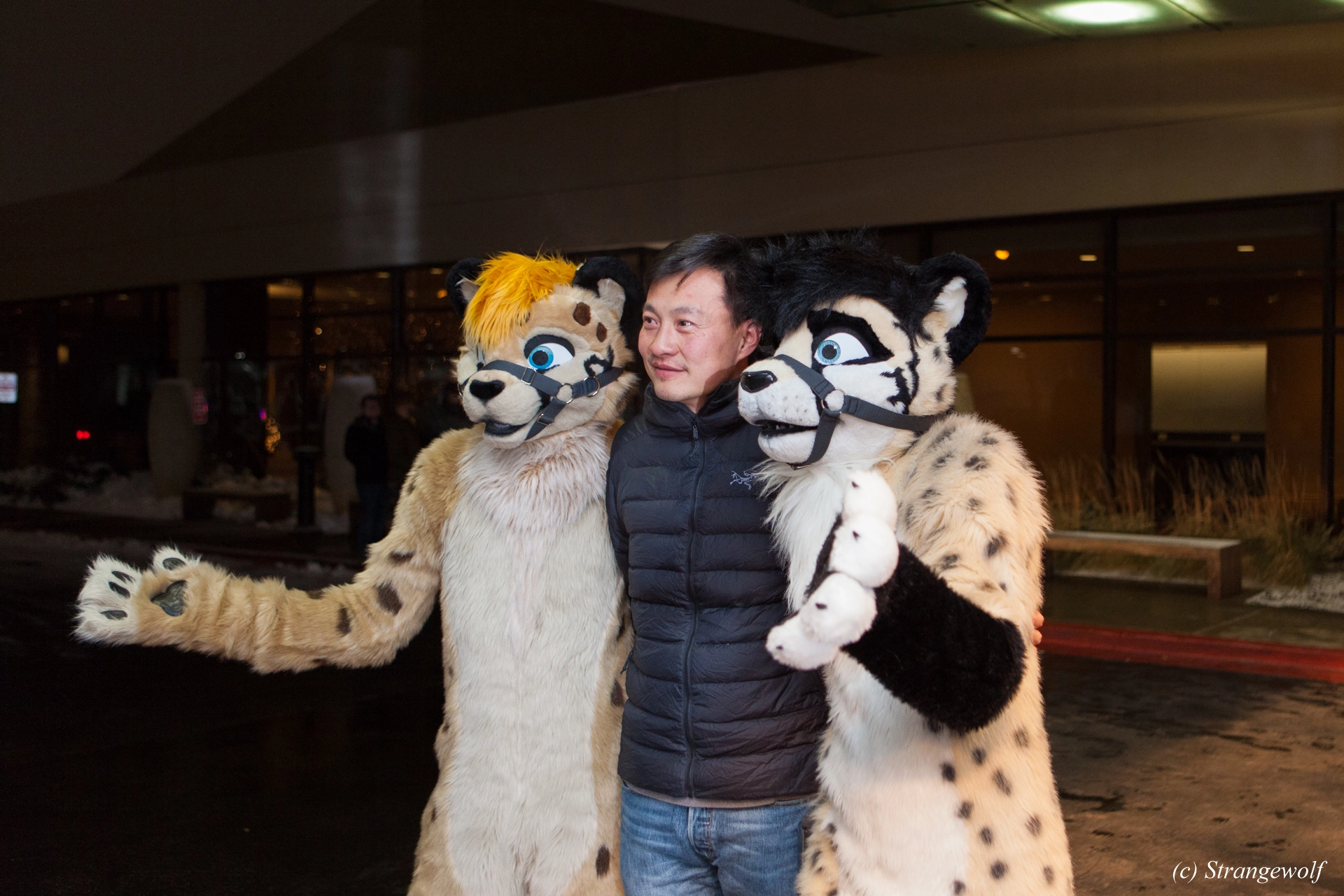 full image IMG_6974-lr19t.jpg