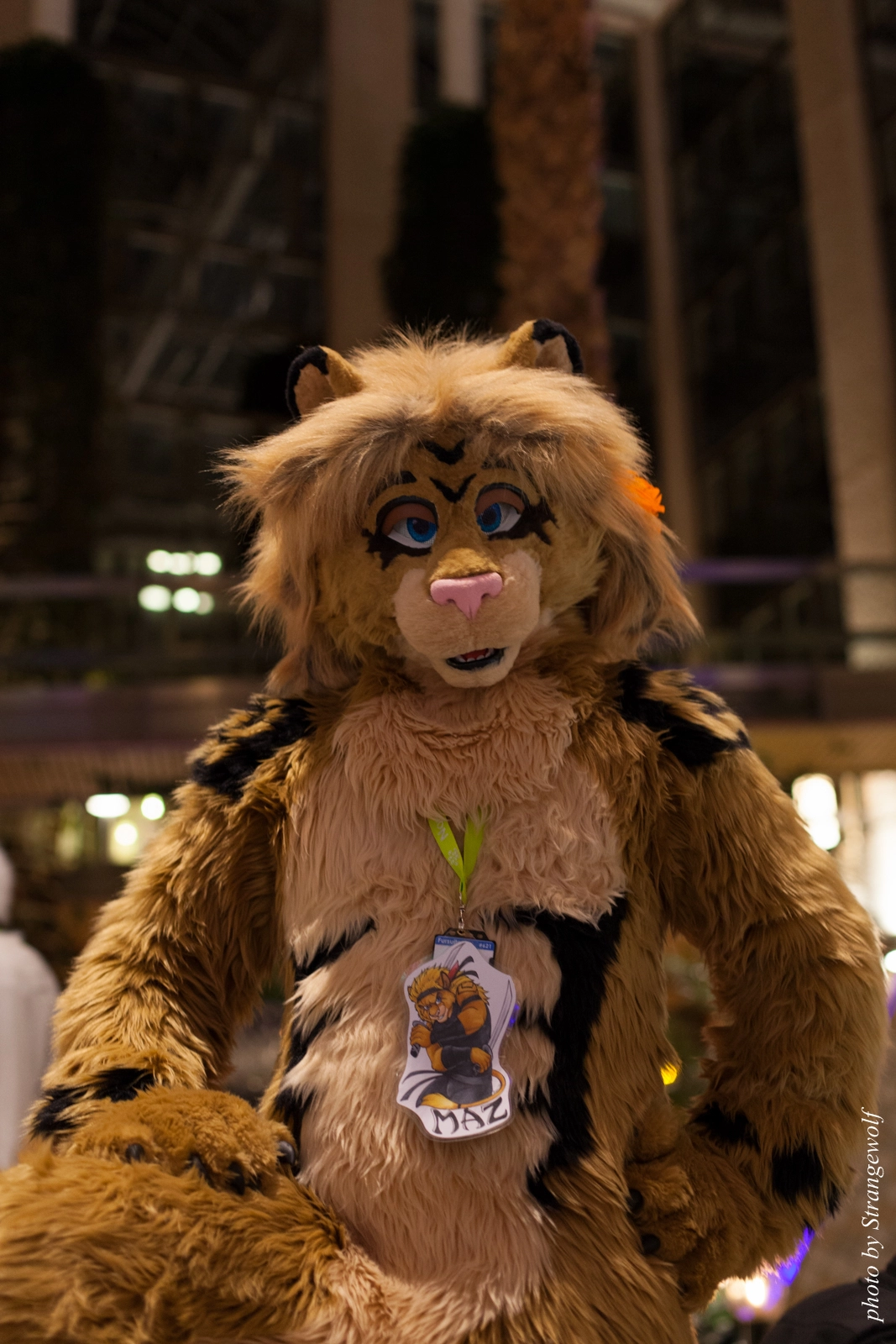 full image IMG_2480-lr16t.jpg