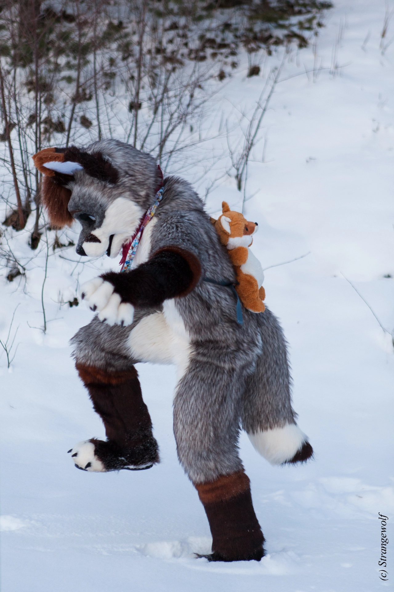 full image IMG_0614-lr19t.jpg