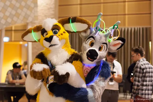 IMG_9849-lr19t.jpg of NFC/NFC2019/