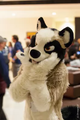 IMG_7201-lr19t.jpg of MFF/MFF2018/