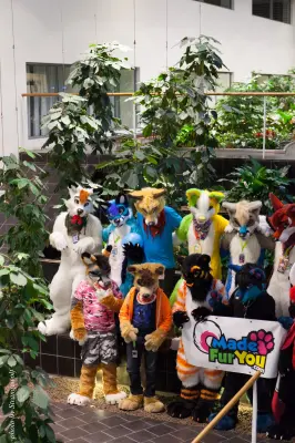 IMG_1682-lr16t.jpg of NFC/NFC2017/