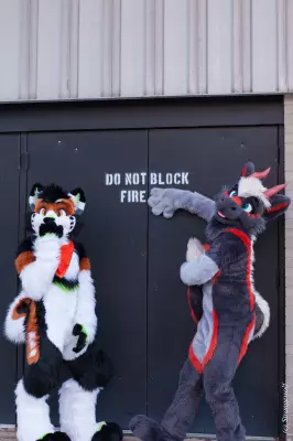 IMG_1006-lr.jpg of MFF/MFF2021/