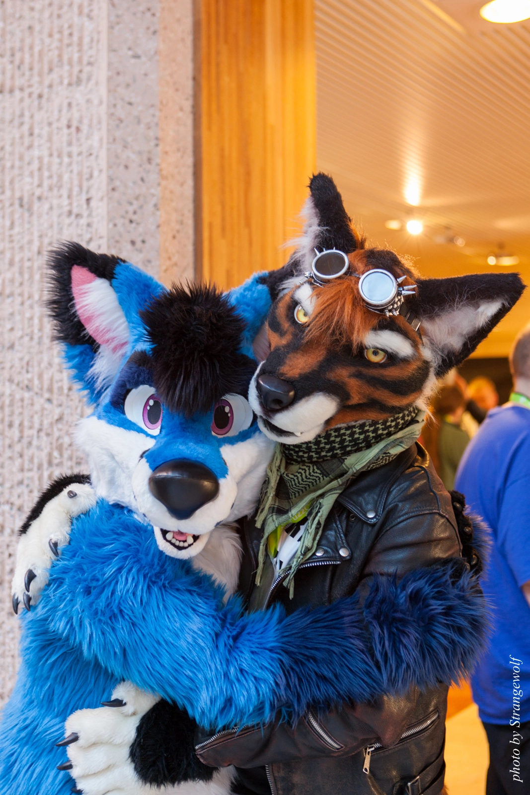 full image IMG_2128-lr16t.jpg