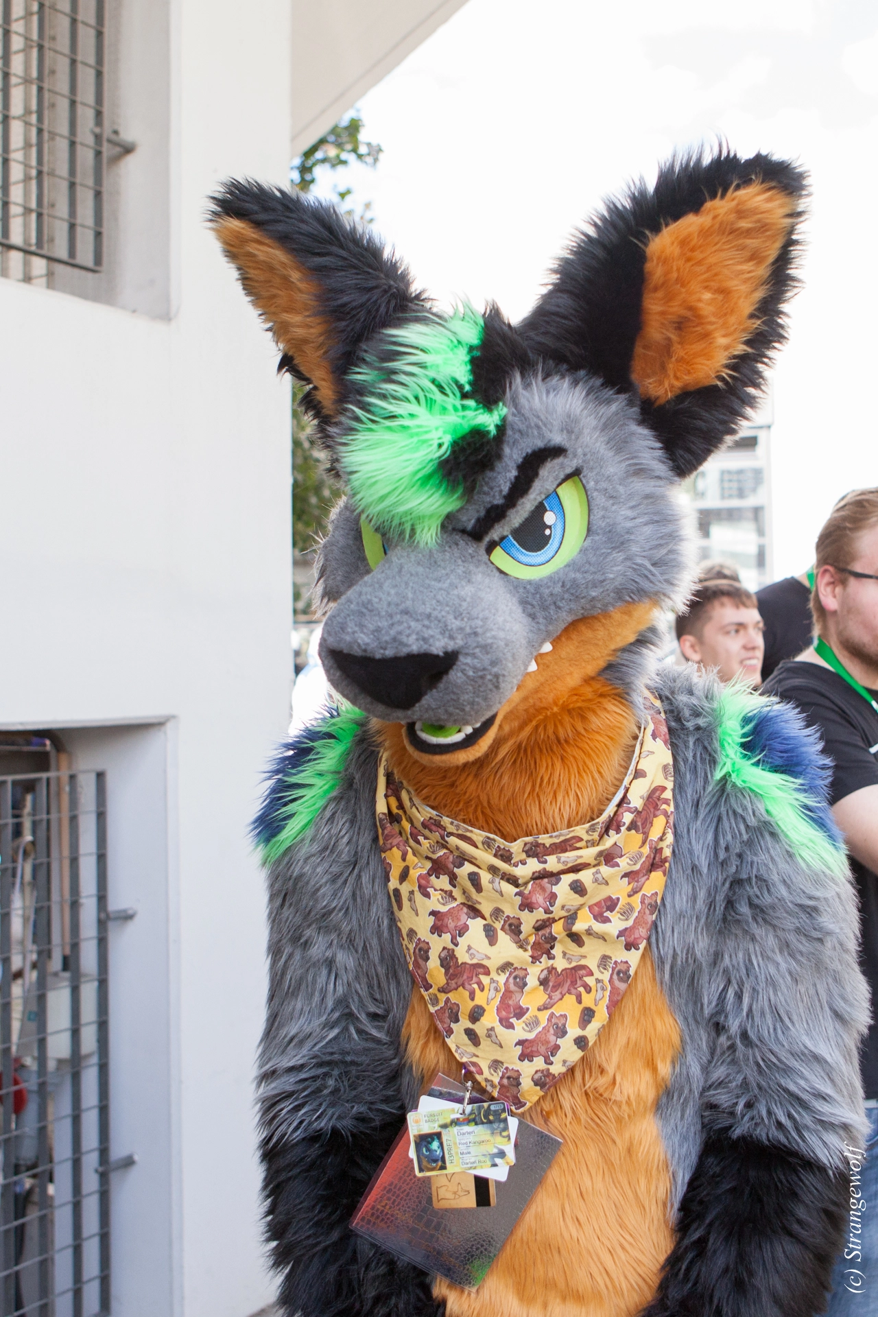 full image IMG_6907-lr19t.jpg