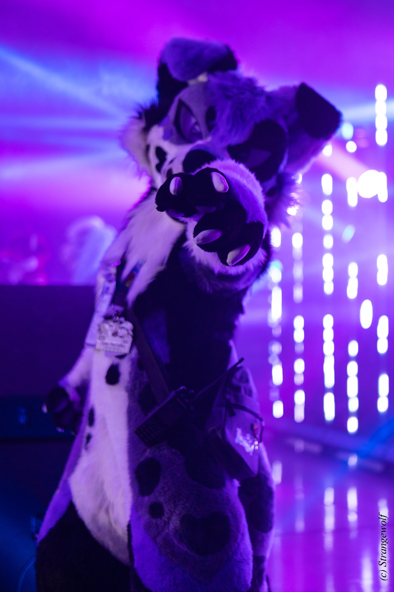 full image 1R3A5509-lr19t.jpg