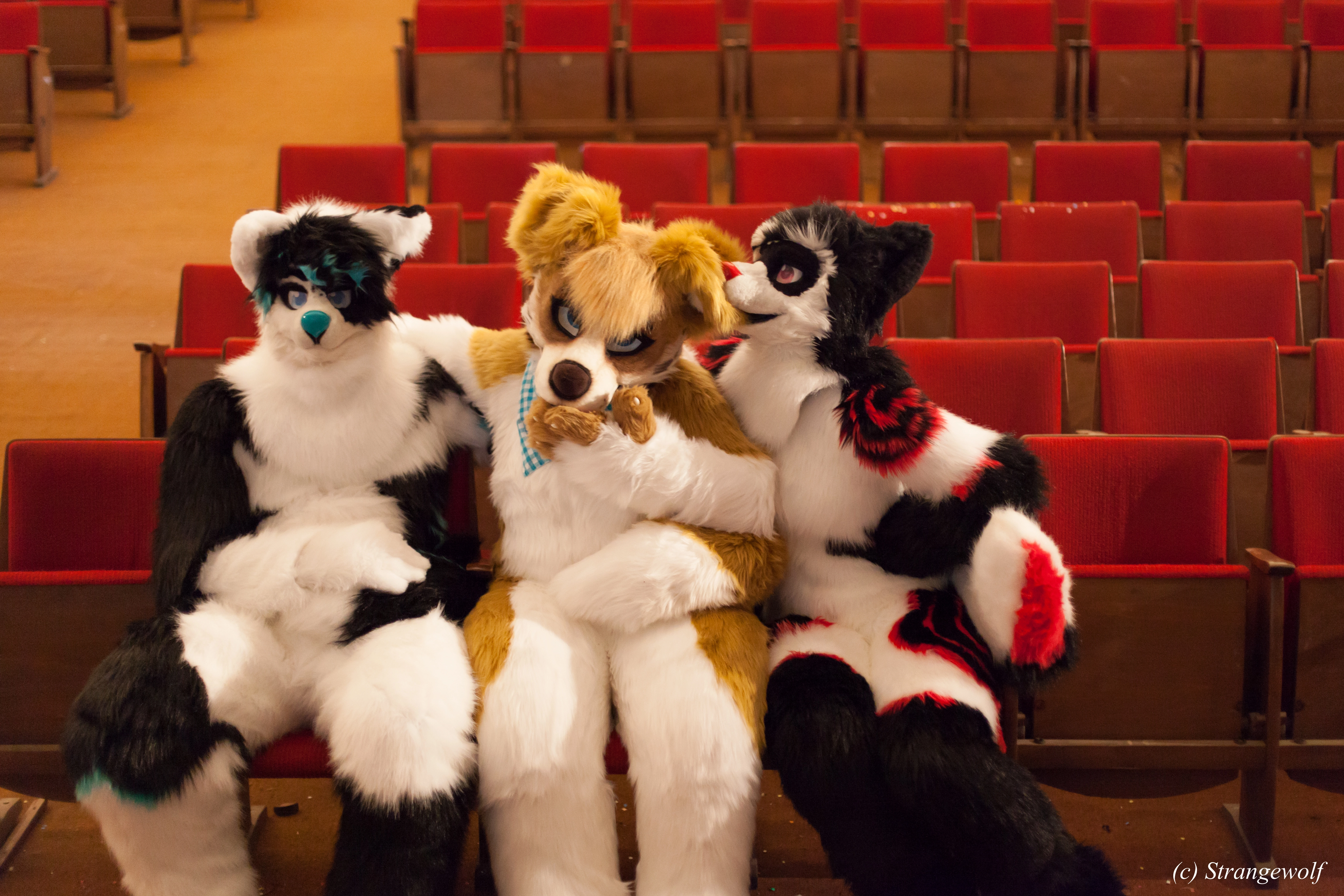full image IMG_5929-lr.jpg