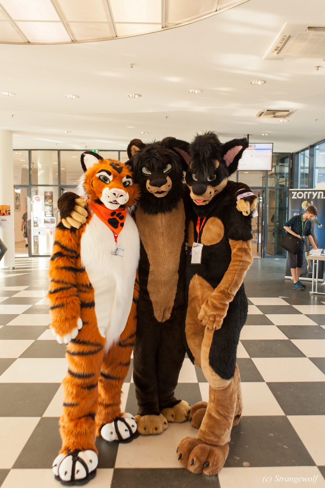 full image IMG_4981-lr19t.jpg